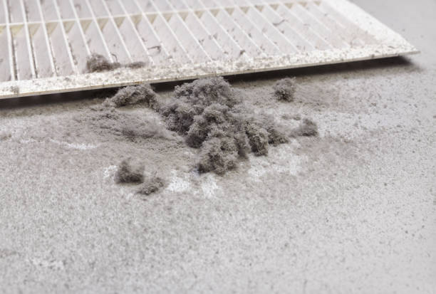 Best General Air Duct Cleaning  in Lone Jack, MO
