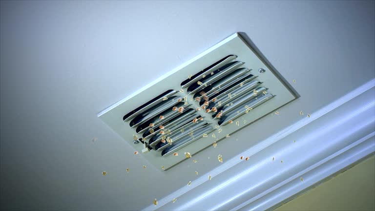 Best Affordable HVAC Duct Cleaning  in Lone Jack, MO